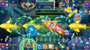 zz9999